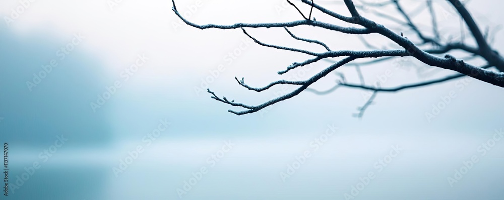 Poster mysterious fog concept. a tranquil scene featuring a bare branch against a serene, hazy background.