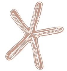 Png brown starfish printmaking cute sticker