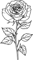 Red Rose Images for Designers