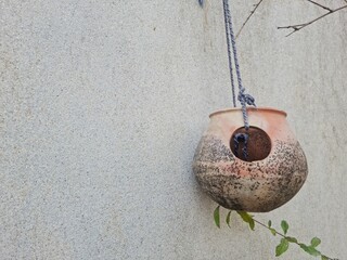 Nest on wall 