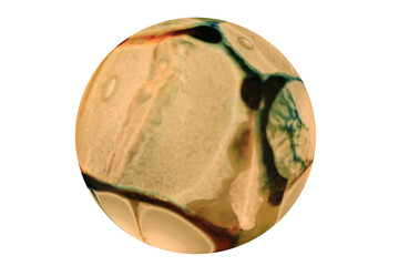 Planets for use in your photos or art images. Made from liquid art using water, paint, soap, oil...