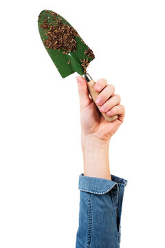 recommend clip art: Png hand mockup holding green shovel gardening tool