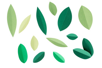Botanical  leaves png sticker, transparent background