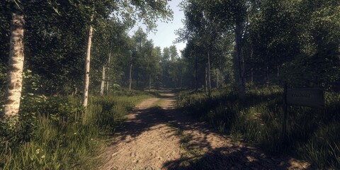 Obraz premium Sunlit Forest Path Lush Greenery Summer Trail Nature Walk Woodland Road Trees Sunlight Dirt Road