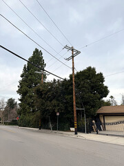 empty residential street (driveways, homes, telephone poles and wires, street signs, sidewalk, fence, trees and plants) - Los Angeles, California