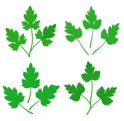 Corian drum Leaves Illustrations  Vectors