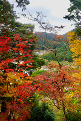 Fototapeta premium 秋の室生寺・奥の院からの眺望（奈良県・宇陀市）
