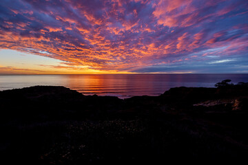 Sunset over the ocean in Torrey Pines State Park near San Diego, California