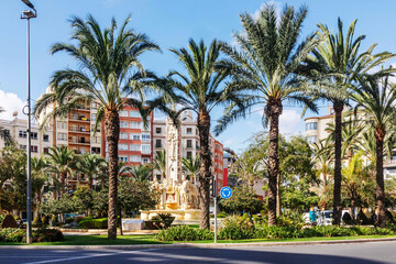 Palm trees around the Luceros roundabout, Alicante, Spain