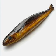 Smoked Eel Delicacy Featuring Long Tail Fish in Gourmet Presentation for Culinary Photography Showcase