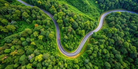 Aerial top view of a beautiful curved road cutting through lush green forest in the rainy season, road, green, aerial, top view