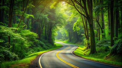 Fototapeta premium A winding road through a lush forest , travel, journey, adventure, scenic, transportation, highway, path, route