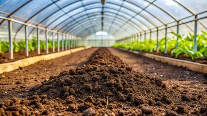 Rich black soil prepared for seedlings in the garden