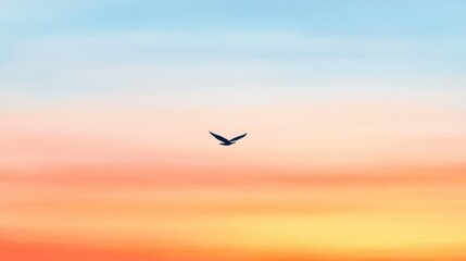 Serene Sunset with Soaring Bird in the Sky