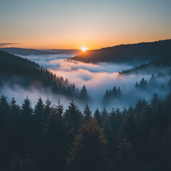 Obraz premium Serene Sunrise Over Foggy Forest Landscape