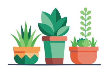 decorative planters vector art for home and garden designs
