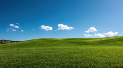 Obraz premium lush vibrant green field under clear blue sky with fluffy clouds creates serene landscape. sunlight enhances beauty of rolling hills, inviting tranquility