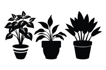 Fototapeta premium stylish planters silhouette art for gardening and home decor