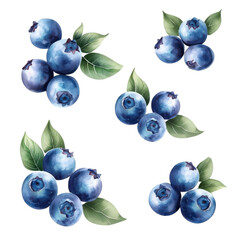 Watercolor seamless pattern of blueberries, isolated on a white background. png