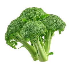 Fresh broccoli isolated on a white background. png