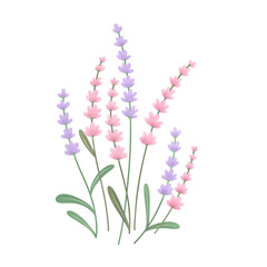 Obraz premium bouquet of pink and purple flowers