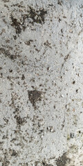 texture of the wall