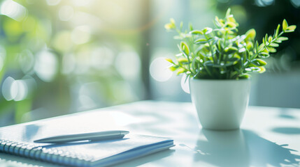 Healthy green plant on white table with small notebook and pen, symbolizing health advice and wellness tips, clean and focused image with copy space for text.