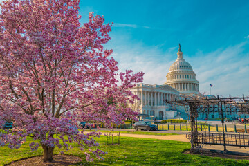 Capitol democracy in USA Washington DC, Capitol building USA. Supreme Court, Washington monument....