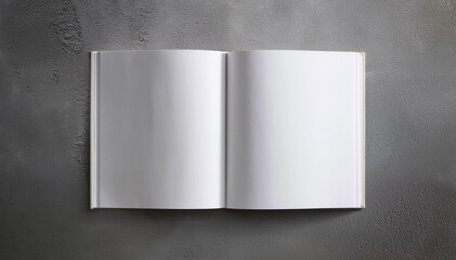 Mockup libretas