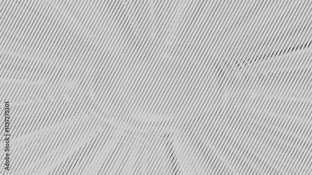 Poster lines and oval shape animation with halftone effect