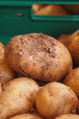 Freshly Harvested and Gathered Potatoes Displayed Up Close in a Basket