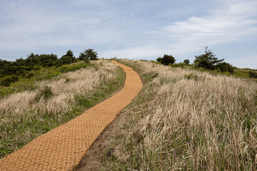 산 정상에서 바라보는 풍경 제주 서귀포시 표선면 가시리 따라비오름
