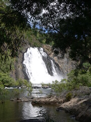 Bloomfield Falls waterfall near Cape Tribulation in Far North Queensland, Australia