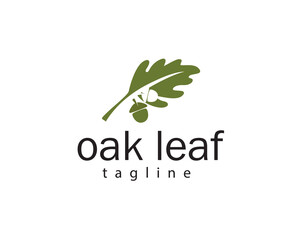 creative oak leaf with acorn two logo design