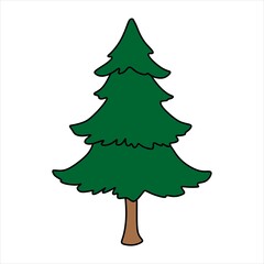 Illustration of a pine tree typical of beautiful Christmas decorations