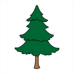 Illustration of a pine tree typical of beautiful Christmas decorations