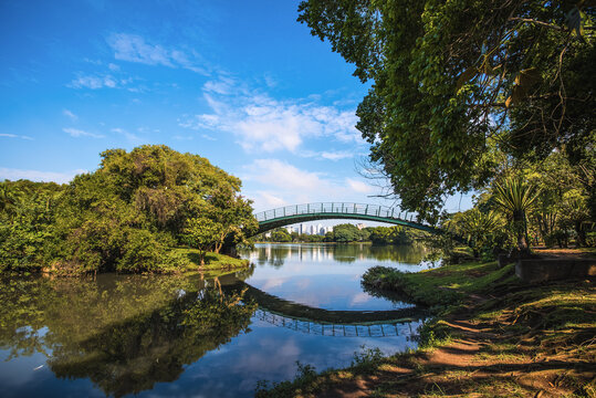 Reflections on the Lake in Ibirapuera Park - S&atilde;o Paulo, Brazil