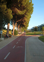 Bike path in park among pine trees in Liguria, Italy. Tourism and recreation. Sport and health. Sunset in summer. 