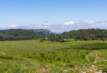 a sunny day, a nature park, a walk through the highlands and alpine expanses