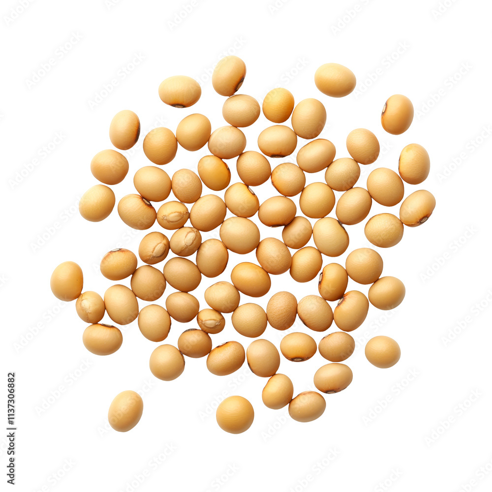 Aufkleber soybean seeds arranged on a transparent background showcasing their smooth texture and natural color