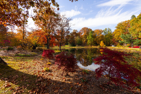 Autumn landscape reflecting in the calm waters of the pond with beautiful serene scenery. 