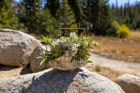 Bouquet of flowers in a basket sitting on a large rock in the wilderness near a hiking trail. 