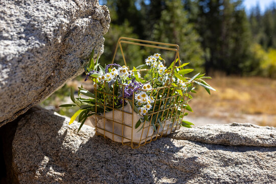 Bouquet of wildflowers in a basket in a rural area. 