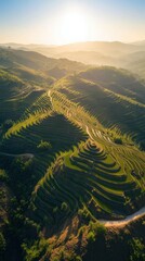 Aerial view of terraced rice fields in a mountainous landscape.