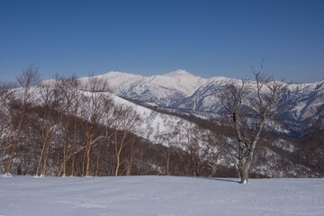 Obraz premium 遠く白山