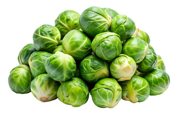 Fototapeta premium city sprouts on a white background