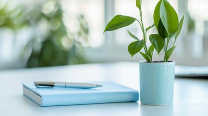 Healthy green plant on white table with small notebook and pen, symbolizing health advice and wellness tips, clean and focused image with copy space for text.