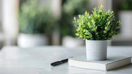Healthy green plant on white table with small notebook and pen, symbolizing health advice and wellness tips, clean and focused image with copy space for text.