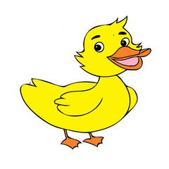 duckling yellow cartoon illustration clip art 