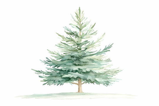 Beautiful watercolor painting of a lush evergreen tree with soft green hues and delicate branches on a white background